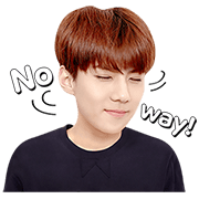 LINE Series: EXO Next Door Special LINE WhatsApp Sticker GIF PNG