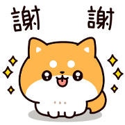 Answer Shiba Dog 2 LINE WhatsApp Sticker GIF PNG