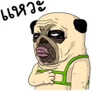 Mao Whatta Pug: Bipolar Big Stickers Sticker for LINE & WhatsApp | ZIP: GIF & PNG