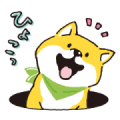 Kuroneko × Shibanban Stickers: LINE WhatsApp GIF PNG