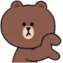 LINE FRIENDS Stickers for Arranging LINE WhatsApp