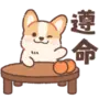 Pop-up! Corgi Communication Stickers LINE WhatsApp GIF PNG